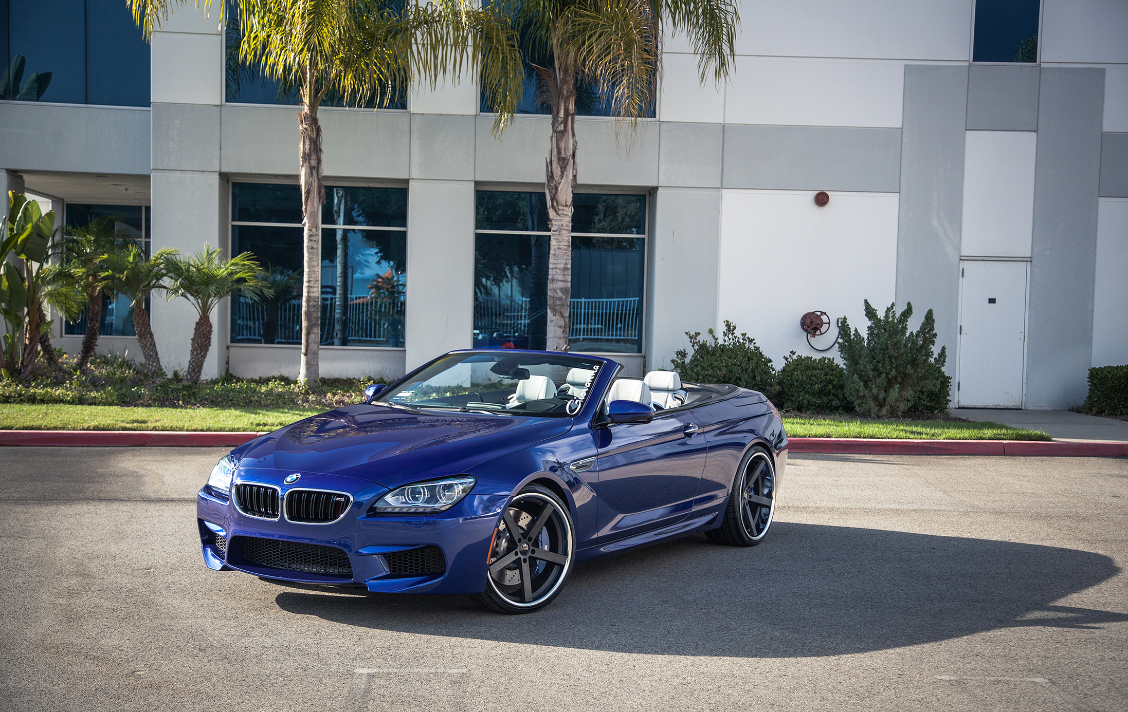 Giovanna Mecca Black On BMW M6